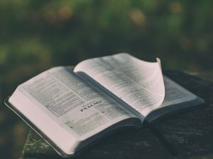 Preaching Christ in Psalms and Ecclesiastes