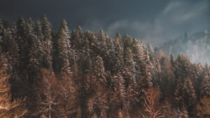 The Dangers of Practicing Discernment