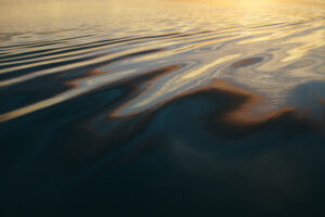 Revised, because it’s Regulated: Hercules Collins and An Orthodox Catechism on Credobaptism